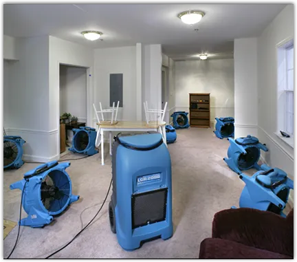 Mold Remediation & Removal in Bel Air South, MD