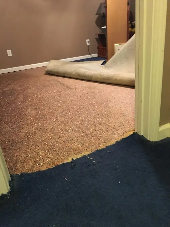 Carpet pad removal revealing water damage during Water Mitigation Services in Bel Air South
