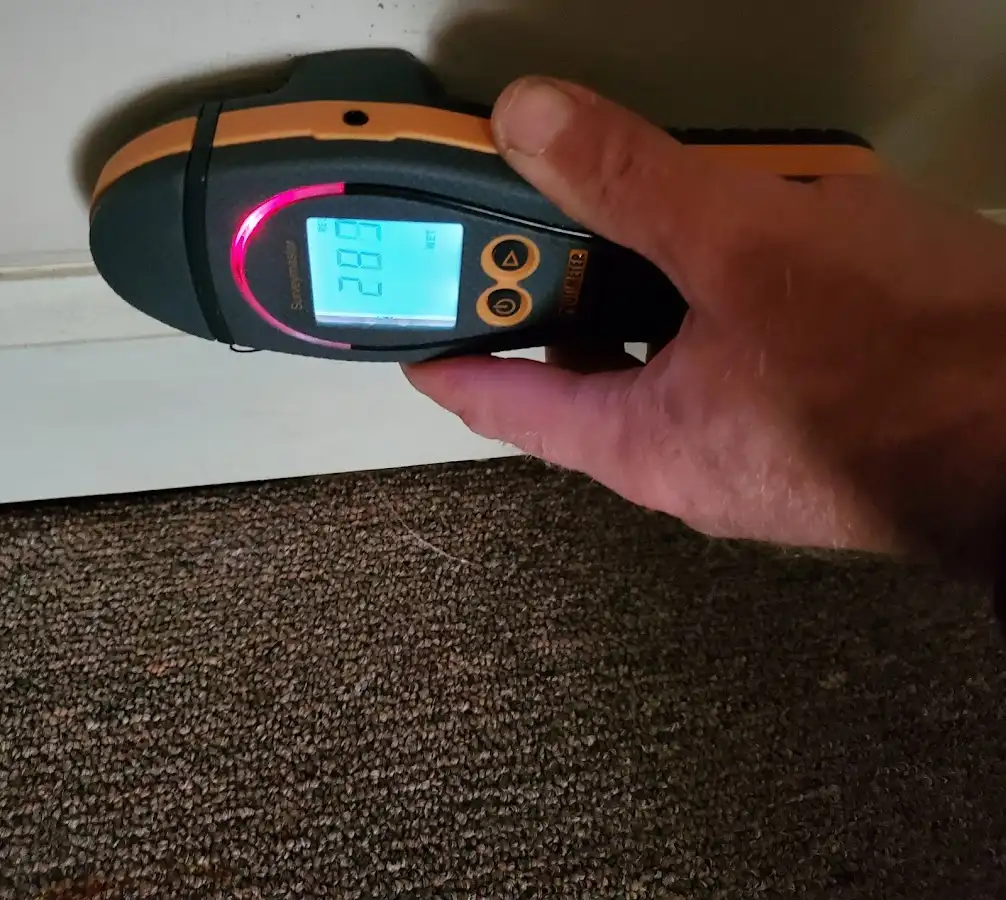 Moisture detection at baseboard during Sewage Cleanup & Sanitation in Bel Air South